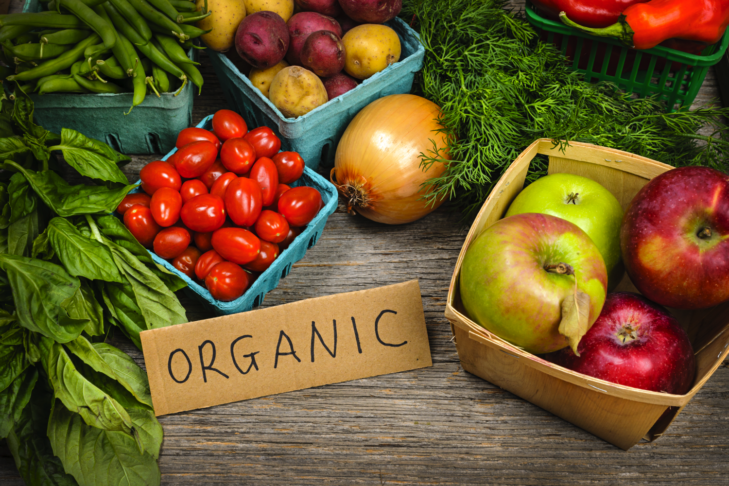 Is Organic Food Healthier Than Common Food 