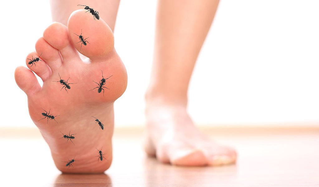 Twitching Feet? You May Have  frantic Leg Syndrome